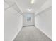 Spacious walk-in closet featuring carpeted flooring, metal storage shelves, and a window providing natural light at 1028 Oliveto Verdi Ct, Brandon, FL 33511