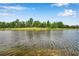 Still pond surrounded by lush greenery, capturing a serene and natural environment at 11878 Thicket Wood Dr, Riverview, FL 33579