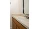Simple bathroom with a sink, neutral countertop, wooden cabinets, and a framed mirror at 12780 N 57Th St, Tampa, FL 33617