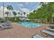 Relax at the community pool in a tropical setting surrounded by lounge chairs at 13125 Wilcox Rd # 16202, Largo, FL 33774
