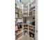 Organized walk-in pantry with ample shelving and storage at 1844 Odiorne Point Ln, Wesley Chapel, FL 33543