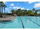 Resort-style community pool with lounge chairs surrounded by palm trees on a sunny day at 1844 Odiorne Point Ln, Wesley Chapel, FL 33543