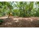Large backyard featuring a wooden swing set, lush landscaping and mature trees at 2279 Ranchette Ln, Dunedin, FL 34698