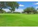 Expansive view of the lush green golf course, framed by mature trees under a bright blue sky at 2713 Brianholly Dr, Valrico, FL 33596