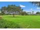 View of manicured green space, mature trees, and neighborhood homes at 2713 Brianholly Dr, Valrico, FL 33596