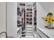 Well-organized walk-in closet with custom shelving, drawers, and ample storage space at 332 Wood Dove Ave, Tarpon Springs, FL 34689