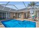 Enclosed swimming pool surrounded by patio seating, offering a relaxing outdoor oasis at 332 Wood Dove Ave, Tarpon Springs, FL 34689