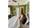 Comfortable bedroom features green walls, lots of natural light and a large closet at 3615 Pine Knot Dr, Valrico, FL 33596