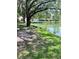Scenic view of a tranquil pond surrounded by lush greenery and mature trees, creating a serene natural setting at 3615 Pine Knot Dr, Valrico, FL 33596