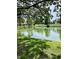 Picturesque pond surrounded by trees, offering a tranquil and serene setting at 3615 Pine Knot Dr, Valrico, FL 33596
