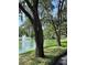 Beautiful pond with a fountain, surrounded by trees and landscaping, creating a peaceful outdoor space at 3615 Pine Knot Dr, Valrico, FL 33596