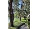 Scenic pond view with mature trees and lush greenery, enhancing the tranquil outdoor environment for relaxation and enjoyment at 3615 Pine Knot Dr, Valrico, FL 33596