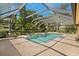 Beautiful screened-in pool and spa with lush landscaping at 3922 Cedar Cay Circle, Valrico, FL 33596