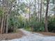 Wooded walking trail with lush foliage offering residents a serene outdoor space for recreation at 700 Bowsprit Pl, Palm Harbor, FL 34685