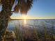 Scenic water view featuring a bright sunset reflecting on the calm lake waters framed by a palm tree at 700 Bowsprit Pl, Palm Harbor, FL 34685