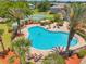 Aerial view showcases the large community pool with palm trees, lounge chairs, and shaded pergola at 8504 Tidal Bay Ln, Tampa, FL 33635