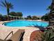 The community pool offers a relaxing escape with lounge chairs, umbrellas, and lush landscaping at 8504 Tidal Bay Ln, Tampa, FL 33635