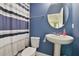 Bathroom with a blue wall, shower curtain and a pedestal sink at 1116 Hillandale Reserve Dr, Tampa, FL 33613