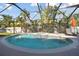Screened-in pool and spa surrounded by tropical landscaping offers the perfect outdoor oasis at 1116 Hillandale Reserve Dr, Tampa, FL 33613