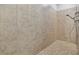 Contemporary walk-in shower featuring neutral tile, a hand-held shower head, and mosaic tile flooring for a modern look at 1116 Hillandale Reserve Dr, Tampa, FL 33613