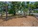 Expansive backyard with mature trees offering shade and privacy for outdoor enjoyment at 1527 E Lake Ave, Tampa, FL 33610