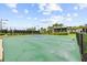 Community basketball court providing a fun recreational amenity with palm trees in the background at 33750 Ocean Spray Ln, Wesley Chapel, FL 33543