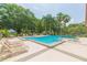 Community pool with lounge chairs surrounded by trees and landscaping at 3923 Shoreside Cir, Tampa, FL 33624