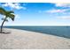 Stunning beachfront with crystal clear water and a palm tree at 5260 Coquina Key Se Dr # C, St Petersburg, FL 33705