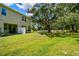 A view of the backyard featuring a covered patio area, well-maintained lawn and mature trees at 6745 Citrus Creek Ln, Tampa, FL 33625
