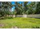 Picture of the green backyard featuring a privacy fence perfect for outdoor activities and relaxation at 6745 Citrus Creek Ln, Tampa, FL 33625