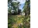 Large back yard with mature trees provides shade and privacy at 807 E Elm St, Tampa, FL 33604