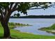 Scenic lake view framed by lush greenery and a mature tree in the foreground at 9209 Seminole Blvd # 156, Seminole, FL 33772