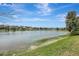 Scenic view of a pond, surrounded by lush greenery, reflecting the blue sky and clouds at 10415 Cardera Dr, Riverview, FL 33578