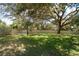 Expansive backyard featuring a lush green lawn, mature trees, and a well-maintained privacy fence at 1126 Tarridon Ct, Dunedin, FL 34698