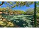 Get active on this well-maintained tennis court, surrounded by lush landscaping and mature trees at 1126 Tarridon Ct, Dunedin, FL 34698