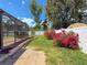 The backyard boasts lush greenery, vibrant red flowers, and a screened-in patio, perfect for outdoor enjoyment at 13263 86Th Ave, Seminole, FL 33776