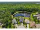 Aerial view of the home near a scenic pond and lush forest at 14502 Pond Cypress Way, Tampa, FL 33626