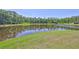 Scenic view of a tranquil pond surrounded by lush greenery and mature trees at 14502 Pond Cypress Way, Tampa, FL 33626