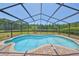 Enclosed pool with a beautiful view of lush greenery and a serene lake at 14502 Pond Cypress Way, Tampa, FL 33626
