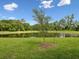 Spacious backyard featuring a serene pond view and mature trees at 17729 Nectar Flume Dr, Land O Lakes, FL 34638