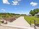 A well-maintained community garden with raised beds and walking paths on a sunny day at 17729 Nectar Flume Dr, Land O Lakes, FL 34638
