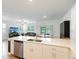Bright, open kitchen with stainless steel appliances and view into the living room at 17729 Nectar Flume Dr, Land O Lakes, FL 34638