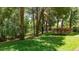 Lush backyard featuring towering trees and green grass, providing a peaceful and private outdoor space at 1903 Curry Rd, Lutz, FL 33549