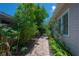 A brick paver pathway leads along the side of the house with lush, mature landscaping and plants at 204 E North St, Tampa, FL 33604