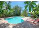 Beautiful pool surrounded by lush tropical greenery, creating a private and serene backyard oasis at 204 E North St, Tampa, FL 33604