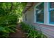 Side yard of house featuring vibrant turquoise window trim, lush greenery, and a private walking path at 204 E North St, Tampa, FL 33604