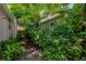Lush garden area between two properties creating a private and serene outdoor space at 204 E North St, Tampa, FL 33604