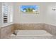 A soaking tub with decorative tile and a view of the outside at 2936 W Knights Ave # A, Tampa, FL 33611