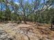 A lot with plentiful trees providing ample shade and a beautiful natural setting at 35031 Shale St, Webster, FL 33597