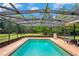 Relax and unwind by the large pool with screened enclosure and ample seating at 35031 Shale St, Webster, FL 33597